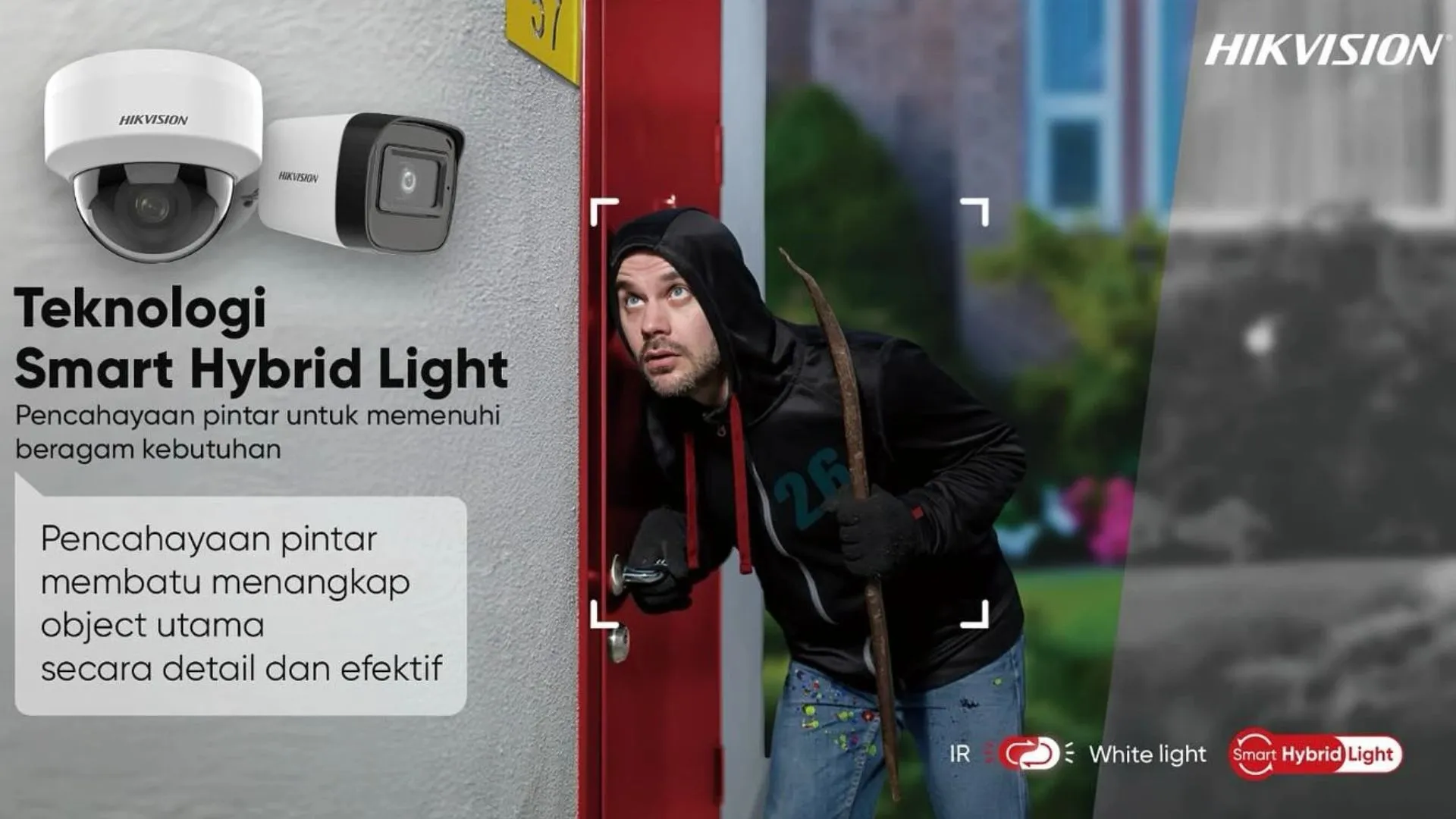Hikvision Smart Hybrid Light